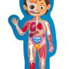 Preschool Plus Hape Australia | Human Body Puzzle