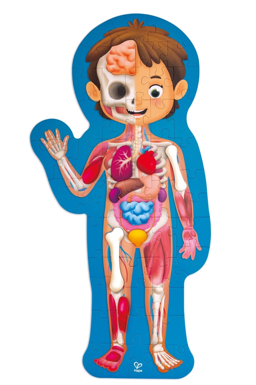 Preschool Plus Hape Australia | Human Body Puzzle